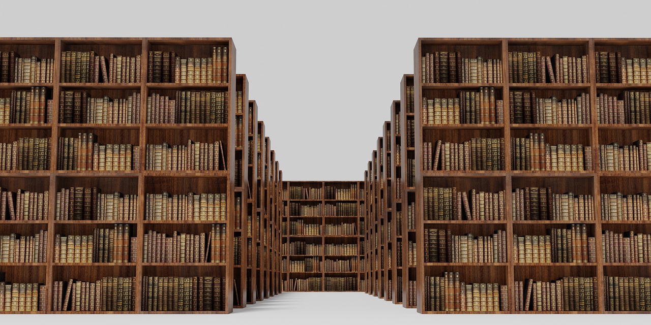 library, bookshelf, books-6237477.jpg